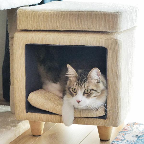W35×D35×H41 ペットスツール 四角 PET-62 ペットハウス 小屋 犬 いぬ イヌ 猫 ねこ ペットベッド クッション付き ペットマット