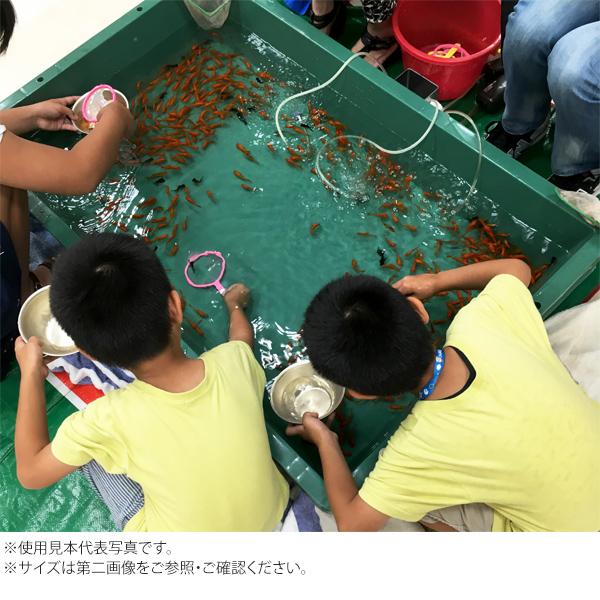 プラ舟220 サイズ プラフネ220 ぷらふね プラふね 220 220L トロ