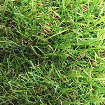 リアル人工芝 【芝丈30mm】【幅1m】【長さ3m】天然芝のような 庭 ガーデン 草 人芝 水はけ 人工芝マット テラス ベランダ |  | 01