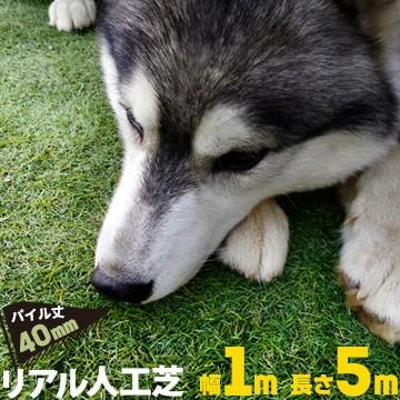 リアル人工芝 芝丈40mm 幅1m 長さ5m 天然芝のような 庭 ガーデン 草 人芝 水はけ 人工芝マット テラス ベランダ Md1039 マモルデ 通販 Yahoo ショッピング