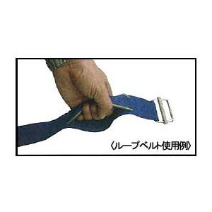 ループベルト 6.0m 10本 荷締めベルト フランスカンベルト 持ち手作り 引越し |  | 01