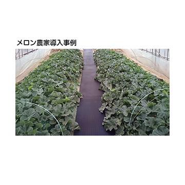 魚瀬ゴム 農作業用マット 厚さ 5mm 700mm×2000mm  農道ゴムマット 疲れ防止 ぬかるみ 温室通路 |  | 02