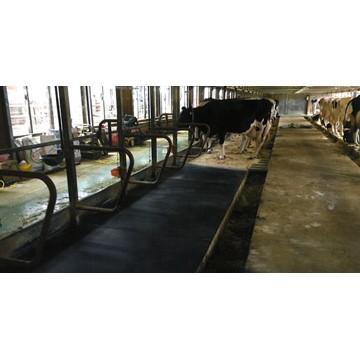 魚瀬ゴム 酪農用マット ゴムマット 厚さ 20mm/サイズ 1400mm×2000mm  牛舎用ゴムマット 保温性 底冷え軽減 足腰の疲労軽減 |  | 04