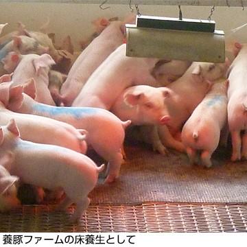 京葉興業 ジュライト6 樹脂製敷板 厚さ6mm/サイズ910mm×1820mm(3尺×6尺判)/ 9kg 1枚 |  | 03