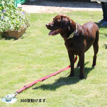 太悦 フレペグ 大型犬用 D F40 250 R 1本 大型犬を安全に繋いでおける 360度自由に動ける大型犬係留ペグ Md3194 マモルデ 通販 Yahoo ショッピング