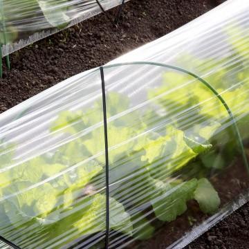 【北海道配送不可】養生ポリフィルム 国産ポリフィルム #150 厚さ約0.15mm 2000mm×50m 二つ折り 2本 資材カバー 建築 マスキング 資材包装 資材梱包フィルム |  | 04