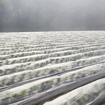 サンキポリフィルム ポリシート 実厚 0.02mm 3600mm×100m 二つ折り 6本 三鬼化成 サンキポリ 土間シート ポリエチレンシート |  | 03