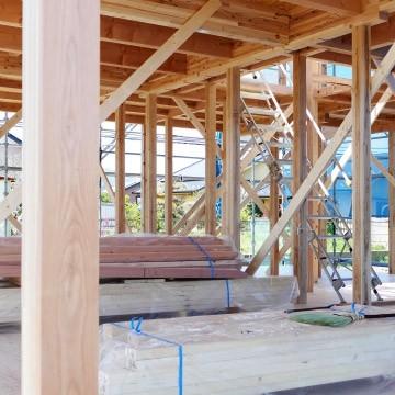 サンキポリフィルム ポリシート 実厚 0.03mm 1000mm×100m 15本 三鬼化成 サンキポリ 土間シート ポリエチレンシート |  | 06