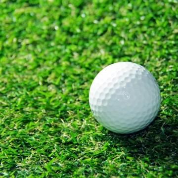 人工芝用強力耐水性接着剤 DTX-1005 1缶 ダイヤテックス ダイアテックス diatex |  | 02