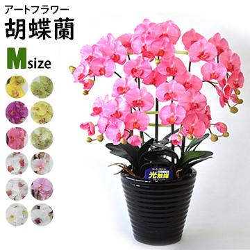正規激安 アートフラワー 胡蝶蘭 Mサイズ 梱包370 370 770mm 重量3 6kg 鉢直径cm 7号 5本立て ビジネスフラワー ホルムアルデヒドなどを分解除去 最適な材料 Www Aqtsolutions Com