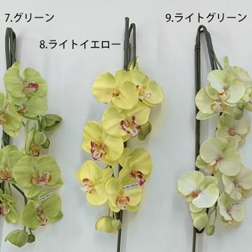 アートフラワー 胡蝶蘭 Mサイズ 梱包370×370×770mm 重量3.6kg 鉢直径20cm（7号） 5本立て ホルムアルデヒドなどを分解除去 |  | 04