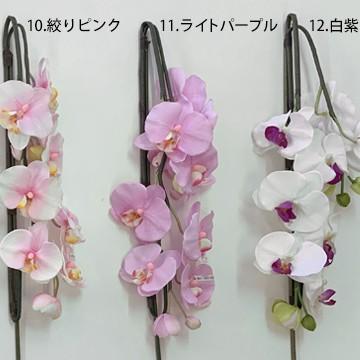 アートフラワー 胡蝶蘭 Mサイズ 梱包370×370×770mm 重量3.6kg 鉢直径20cm（7号） 5本立て ホルムアルデヒドなどを分解除去 |  | 05