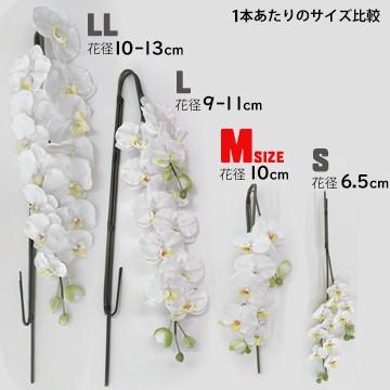 アートフラワー 胡蝶蘭 Mサイズ 梱包370×370×770mm 重量3.6kg 鉢直径20cm（7号） 5本立て ホルムアルデヒドなどを分解除去 |  | 06