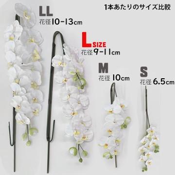 アートフラワー 胡蝶蘭 Lサイズ 梱包440×560×900mm 重量7kg 鉢直径25cm（9号） 5本立て  ホルムアルデヒドなどを分解除去 |  | 05