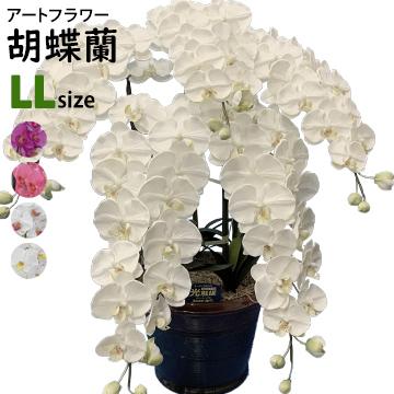 アートフラワー 胡蝶蘭 LLサイズ 梱包450×640×1080mm 重量15〜20kg 鉢直径40cm（14号） 5本立て  ホルムアルデヒドなどを分解除去 | 