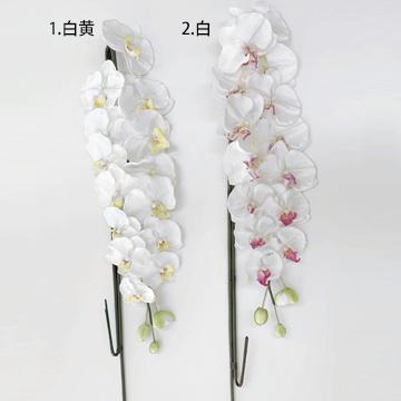 アートフラワー 胡蝶蘭 LLサイズ 梱包450×640×1080mm 重量15〜20kg 鉢直径40cm（14号） 5本立て  ホルムアルデヒドなどを分解除去 |  | 02