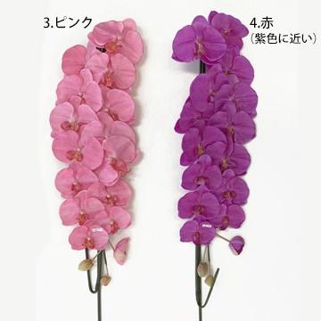 アートフラワー 胡蝶蘭 LLサイズ 梱包450×640×1080mm 重量15〜20kg 鉢直径40cm（14号） 5本立て  ホルムアルデヒドなどを分解除去 |  | 03