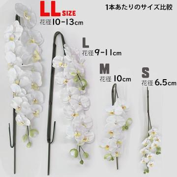 アートフラワー 胡蝶蘭 LLサイズ 梱包450×640×1080mm 重量15〜20kg 鉢直径40cm（14号） 5本立て  ホルムアルデヒドなどを分解除去 |  | 05