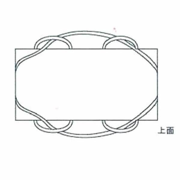 レベル3アスベスト 適正処理をサポート リレーバッグ RB-L-120S2+4B-FC 6尺 10枚 W2000mm×D1000mm×H600mm 1200L |  | 01