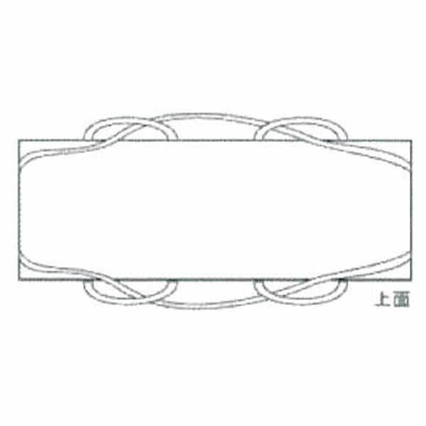 レベル3アスベスト 適正処理をサポート リレーバッグ RB-L-200S2+4B-FC 10尺 5枚 W3100mm×D1100mm×H600mm 2000L |  | 01
