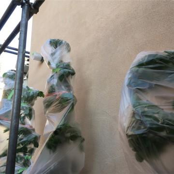 輸入養生ポリフィルム S #15 厚み 約0.075mm 1800mm幅×50m 2本 養生ポリシート ビニールシート |  | 04