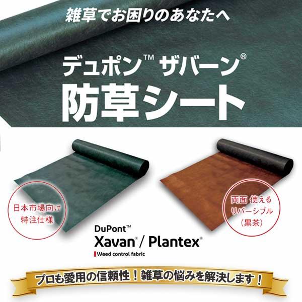 防草シート ザバーン 緑 XA-240G2.0 幅2m×30m 1本 GF グリーン