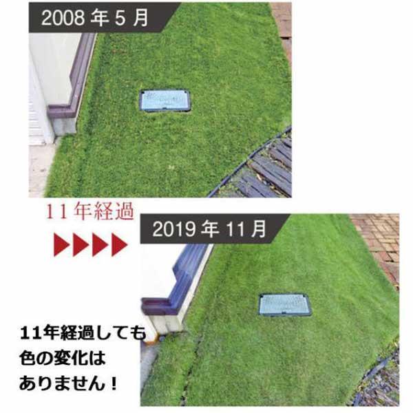 人工芝 リアリーターフ ヨーロピアンロング RET40FR-1-10ERP 40mm 幅1m