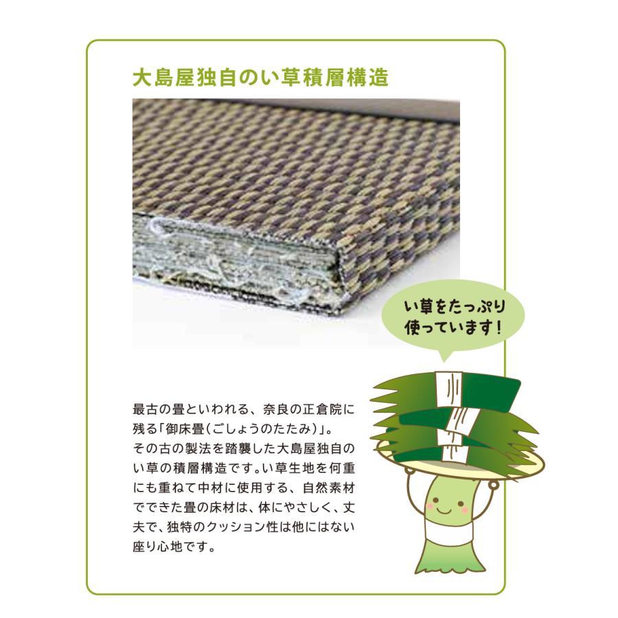 畳収納ベンチ ロング 120cmx43cmx39cm 1台 大島屋 : 養生材ドットコム