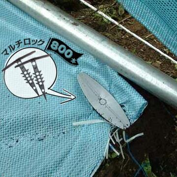 マルチロック 800本 幅110mm×長さ130mm 建築現場のシート 農業資材のマルチ トンネル被覆材の固定具 | 