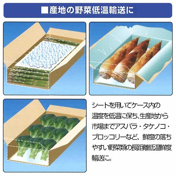 第一衛材 CFドリップシート 2735 CDR-035 （100枚×6袋） 600枚 解凍水