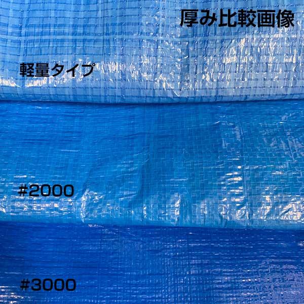 ブルーシートロール 1800mm×100m 薄手 1本 工事 イベント 養生 KUS