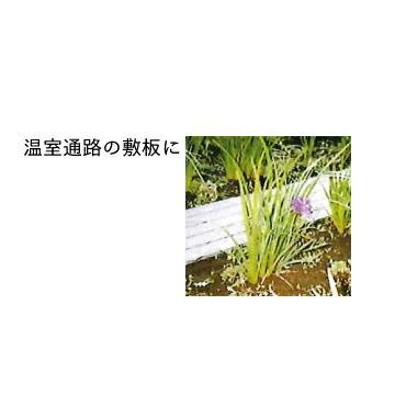 JSP ホットすのこ 厚さ32mm×900mm×585mm 10枚 スノコ すのこ |  | 07