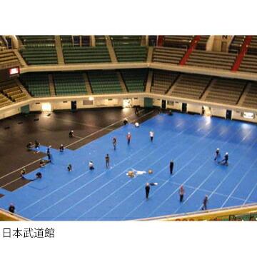 第一大宮 養生くん PP-27 青/緑 10枚 厚さ 2.7mm 910mm×1820mm プラスチック養生ボード 養生ボード 床養生材 壁養生材 帯電防止 引越し 搬入 |  | 02