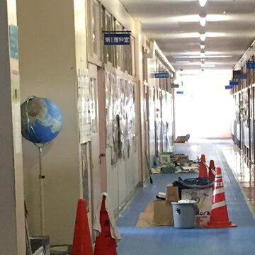 第一大宮 養生くん PE-20 ライトブルー 30枚 厚さ 2.0mm 850mm×1700mm プラスチック養生ボード 養生ボード 床養生材 壁養生材 引越し 搬入 |  | 01