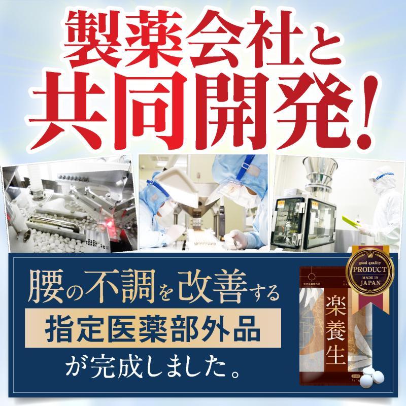 楽養生 【公式】楽養生 歯周病薬 歯痛 歯肉炎 歯槽膿漏 歯 歯茎 衰え