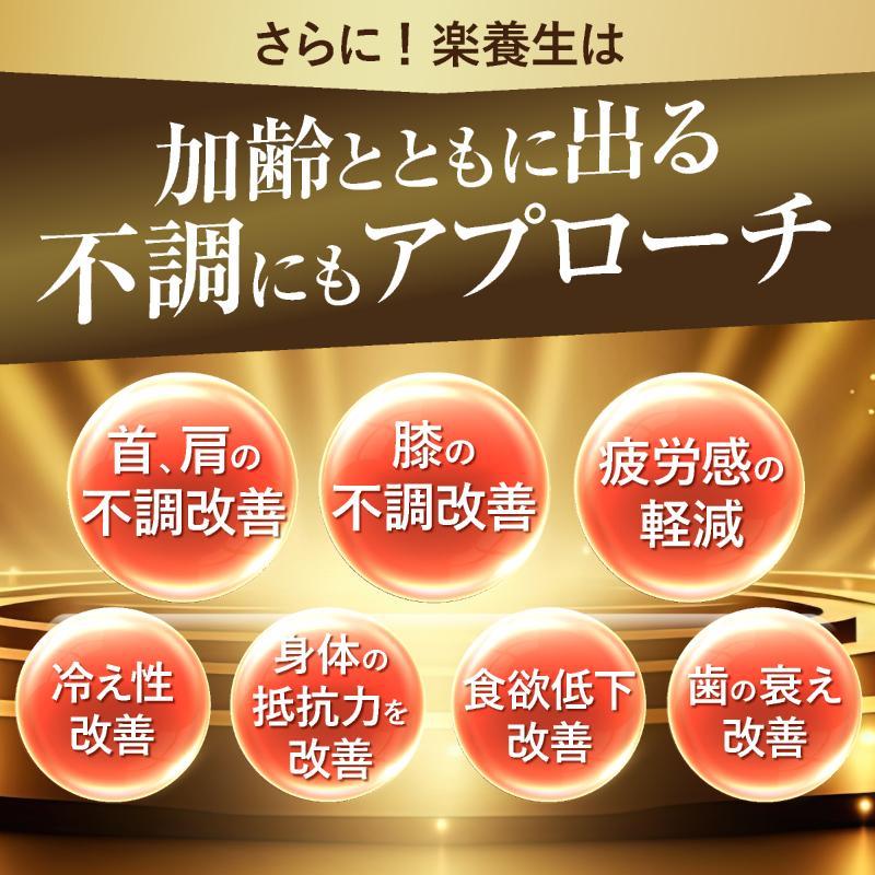 楽養生 【公式】楽養生 歯周病薬 歯痛 歯肉炎 歯槽膿漏 歯 歯茎 衰え
