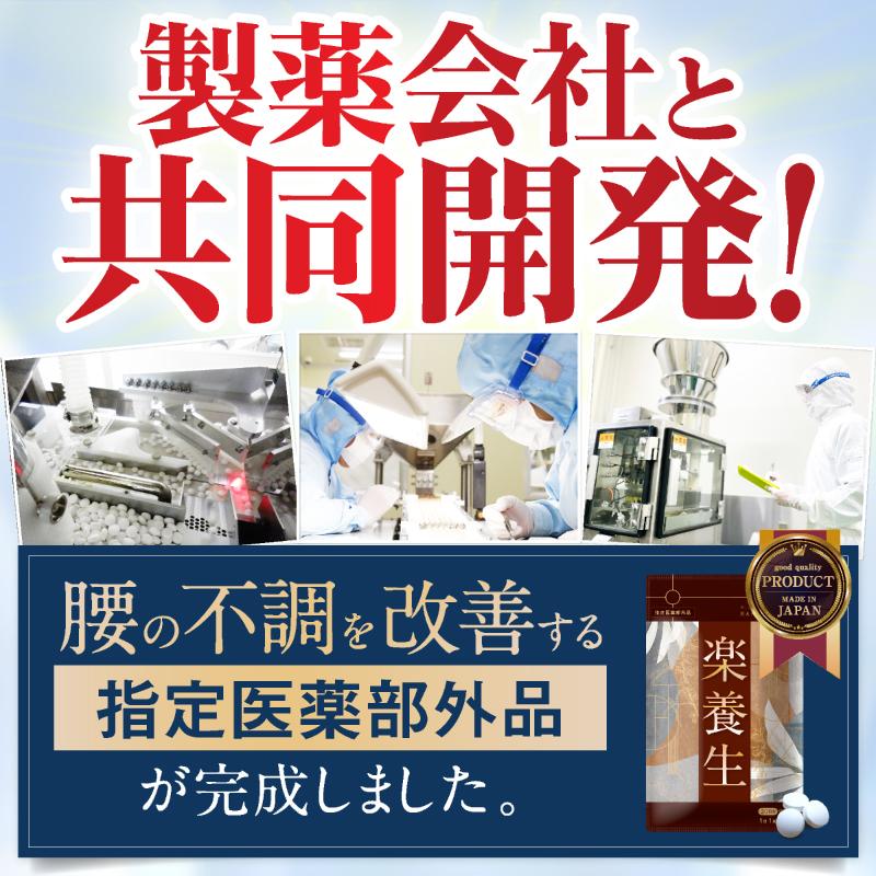楽養生 【公式】楽養生 歯周病薬 歯痛 歯肉炎 歯槽膿漏 歯 歯茎 衰え
