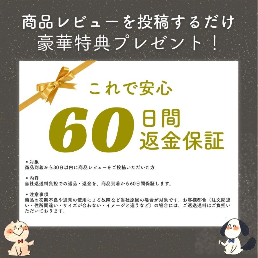 LaLUCA 犬 ハーネス 小型犬 中型犬 大型犬 リード セット