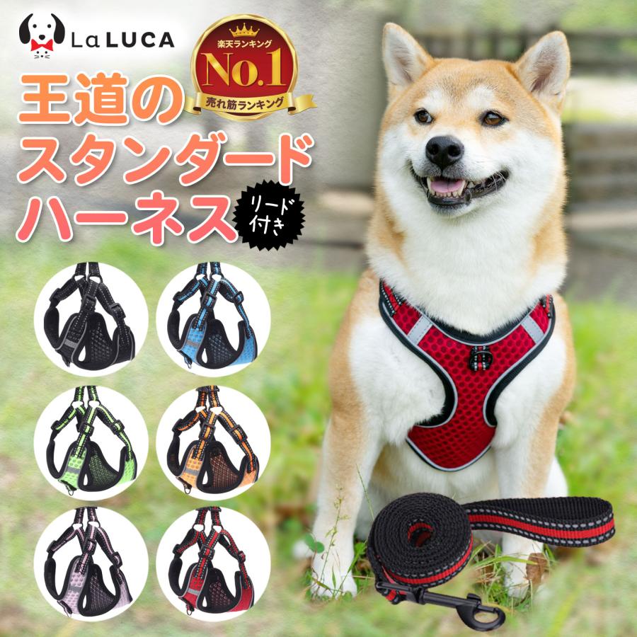 黒 ブラック 散歩 ハーネス リード 散歩 犬 猫 ペット用品 メッシュ素材 通販