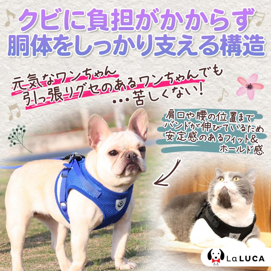 LaLUCA ハーネス2個、リードセット2本、多頭引きリード LaLUCA ハーネス2個、リードセット2本、多頭引きリード