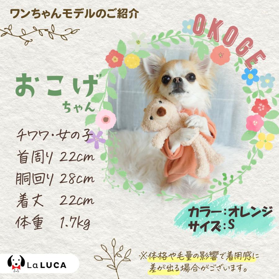 LaLUCA 犬 服 ペット 犬服 ドッグウェア ペットウェア 熊柄 クマ柄