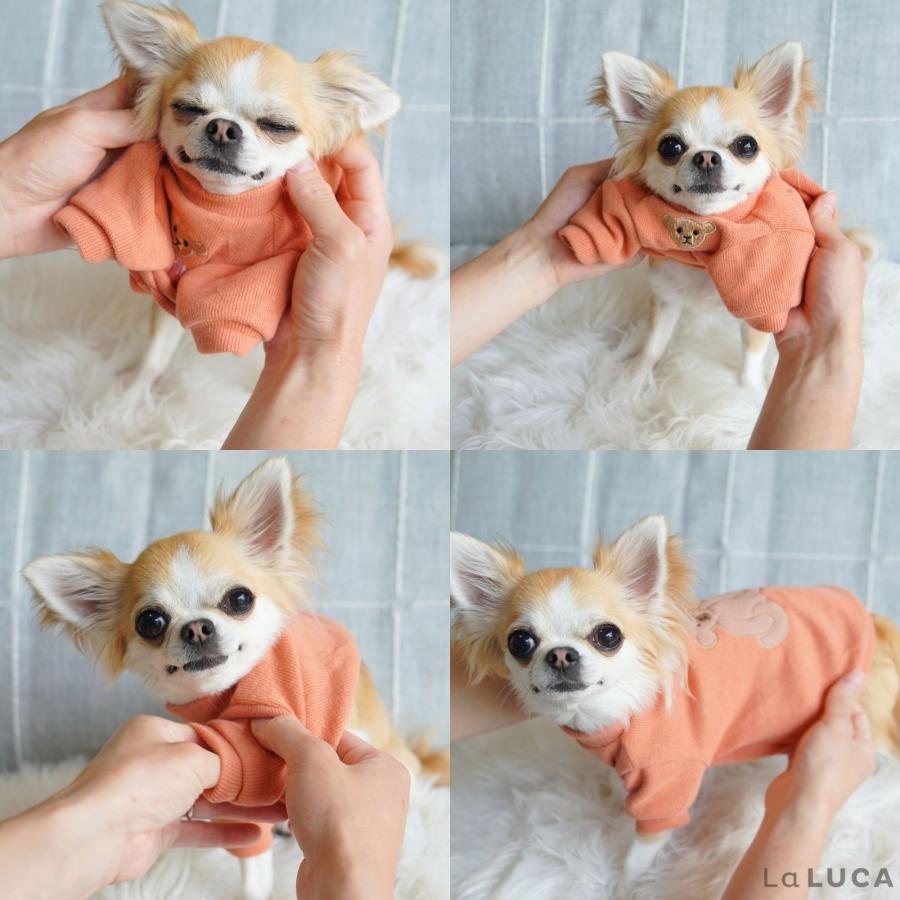LaLUCA 犬 服 ペット 犬服 ドッグウェア ペットウェア 熊柄 クマ柄