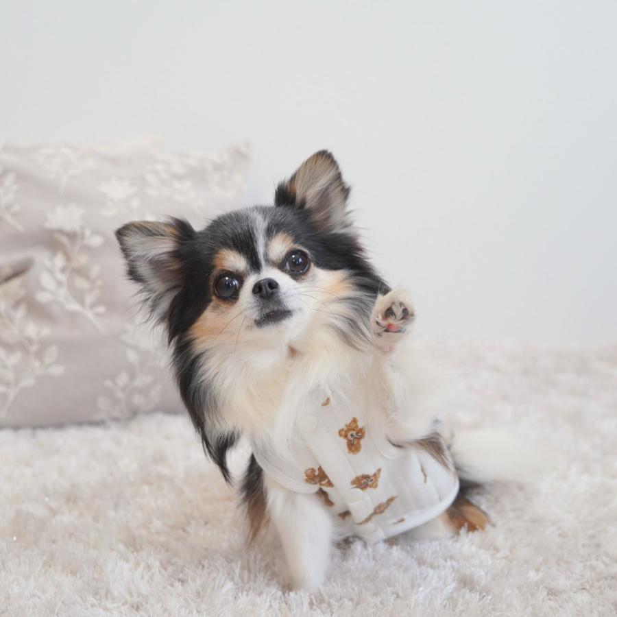 LaLUCA 犬 服 ペット 犬服 くま ペットウェア 熊柄 クマ柄 かわいい