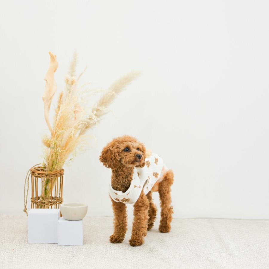 犬服 クマ柄 オーダー可能生地 LaLUCA 犬 服 ペット 犬服 ドッグウェア ペットウェア 熊柄 クマ