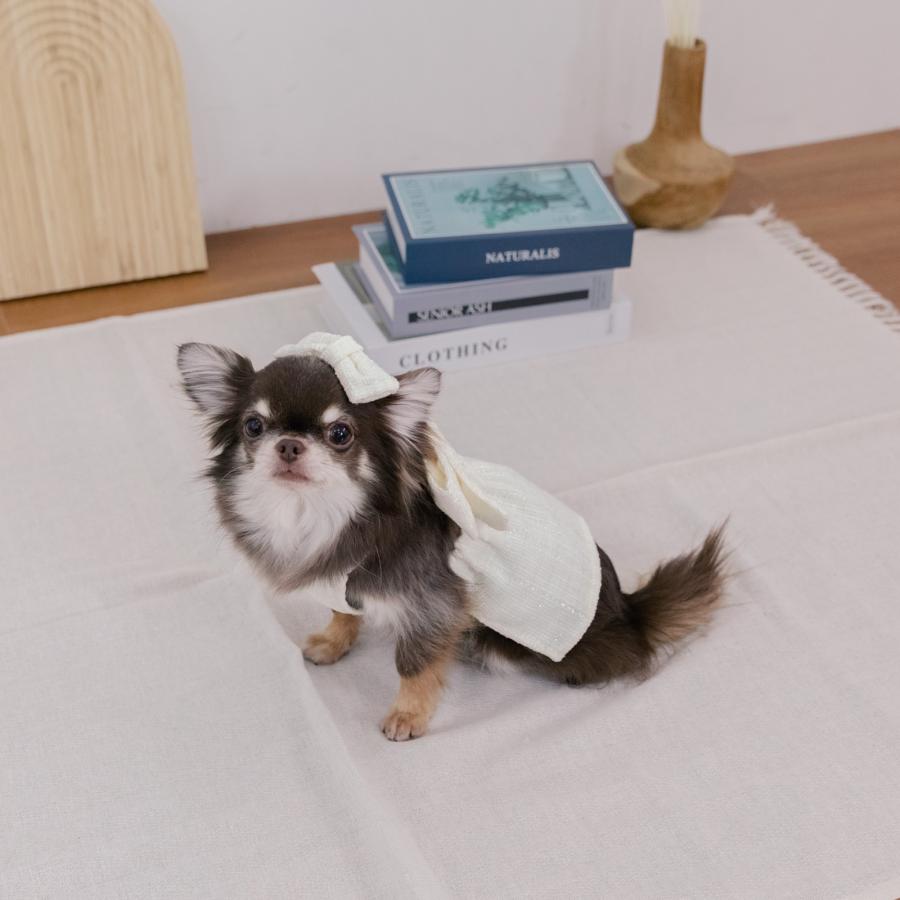 犬服 3S わんこの普段着　キャンディとリボン 犬服 3S わんこの普段着キャンディとリボン