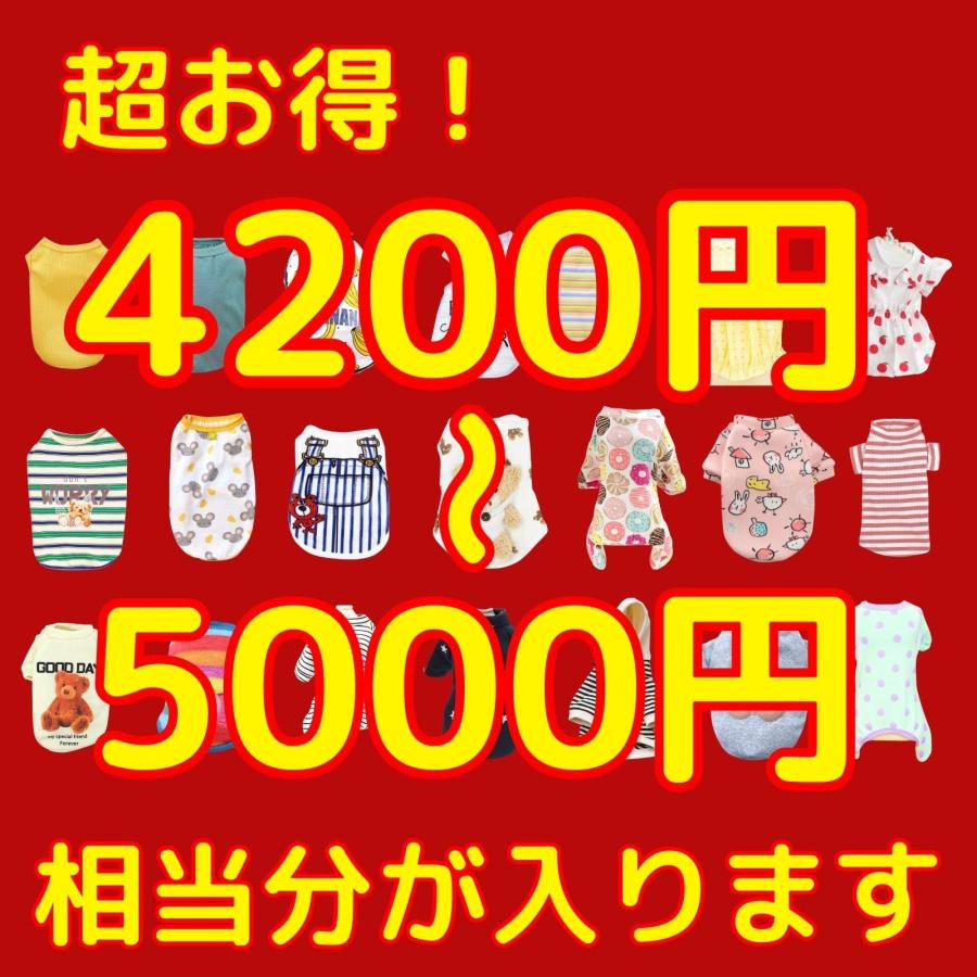 LaLUCA 犬 服 福袋2026 ペットウェア ラッキーボックス 秋冬 春夏
