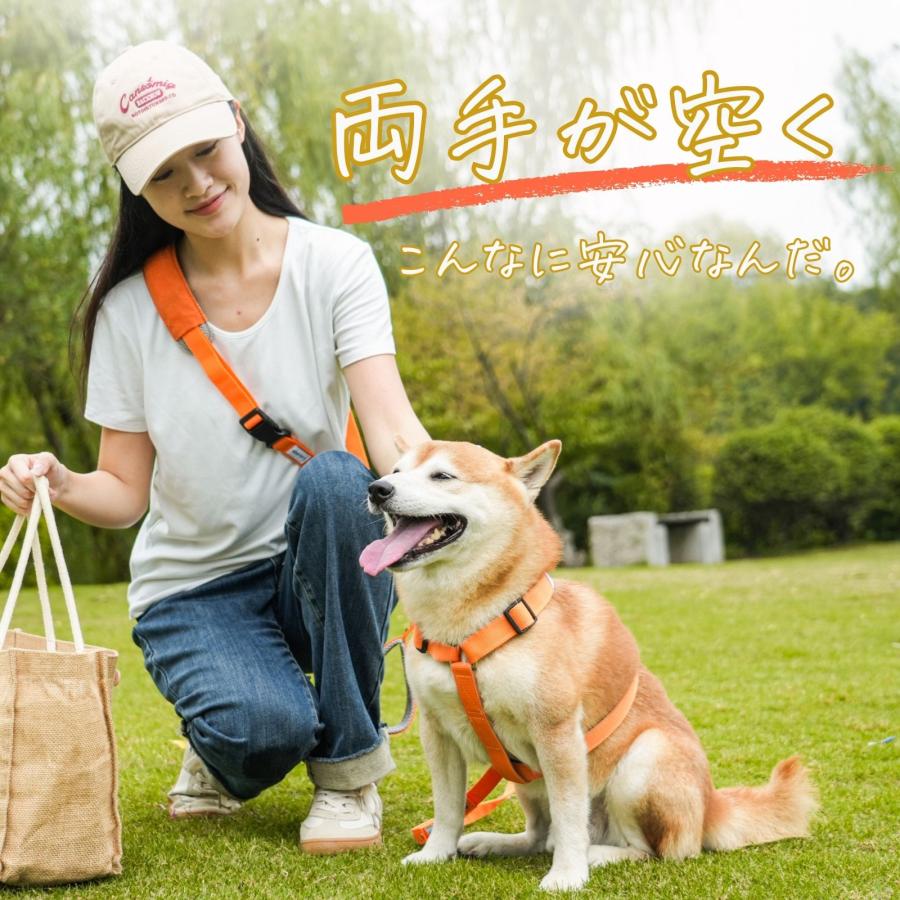 LaLUCA 犬 リード 小型犬 中型犬 大型犬 アドバンスモア 01モデル 迷子