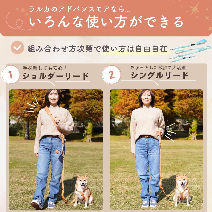 LaLUCA 犬 リード 反射ライン リード 小型犬 中型犬 大型犬 アドバンス