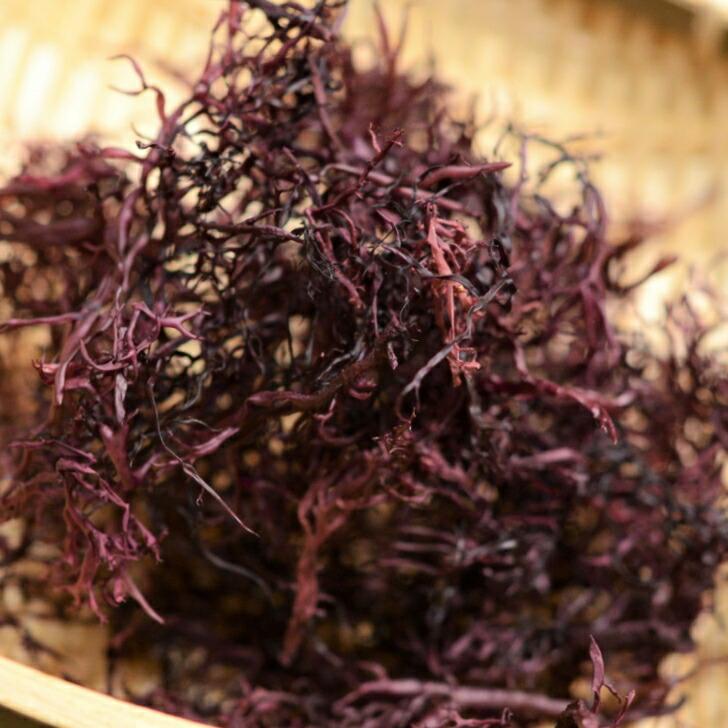 九州産 天然 乾燥 ふのり50g 送料無料 国産 洗い マフのり 味噌汁の具