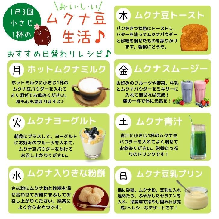 モザンビーク産 黒 ムクナ豆 パウダー 300g 【 送料無料 】 Mucuna